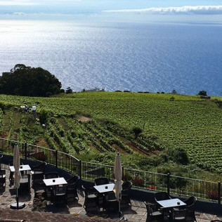 Visita a las Bodegas Monje con Cata de 4 Vinos y 4 Quesos Canarios (El Sauzal, Tenerife)