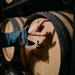 Experiencia Matambres: Visita a Bodega y Cata de Vino en Bodegas Monteabellón (Nava de Roa, Burgos)