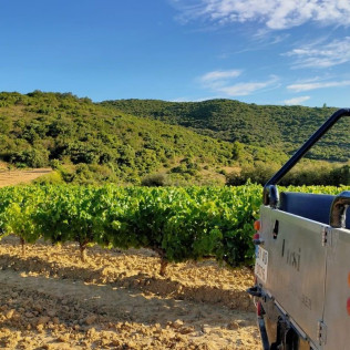 Sed de Aventura: Ruta en 4x4, Visita a Bodega, Cata de Vino y Maridaje para dos en Unsi Wines (Olite, Navarra)