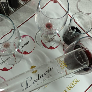 Taller de Diseño de Vinos y Visita a las Bodegas Palacio de Lerma con Cata (Burgos)