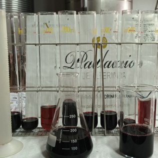 Taller de Diseño de Vinos y Visita a las Bodegas Palacio de Lerma con Cata (Burgos)