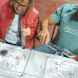 Taller de Diseño de Vinos y Visita a las Bodegas Palacio de Lerma con Cata (Burgos)