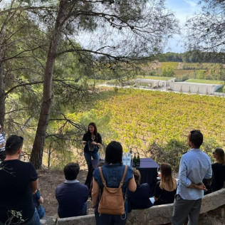 Milfulles 502: Visita a Viñedo y Bodega Pinord Mas Muntanyans con Degustación de 4 Vinos para dos (Les Masuques, Barcelona)