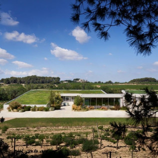 Milfulles 502: Visita a Viñedo y Bodega Pinord Mas Muntanyans con Degustación de 4 Vinos para dos (Les Masuques, Barcelona)