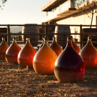 Milfulles 502: Visita a Viñedo y Bodega Pinord Mas Muntanyans con Degustación de 4 Vinos para dos (Les Masuques, Barcelona)
