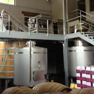 Visita a Bodega, Paseo por las Viñas, Cata de Vinos y Tapa en Ronsel Do Sil (Parada do Sil, Ourense)