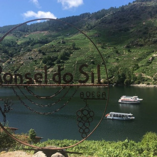 Visita a Bodega, Paseo por las Viñas, Cata de Vinos y Tapa en Ronsel Do Sil (Parada do Sil, Ourense)