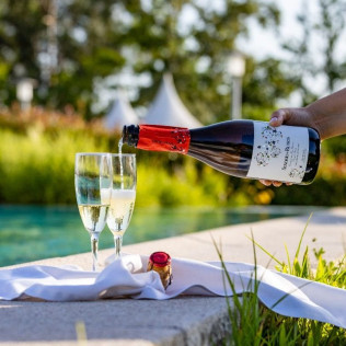 Visita a Viñedos y Bodegas Señorío de Rubiós con Cata de Vinos para dos (As Neves, Pontevedra)