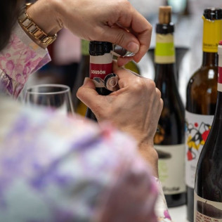 Visita a Viñedos y Bodegas Señorío de Rubiós con Cata de Vinos para dos (As Neves, Pontevedra)