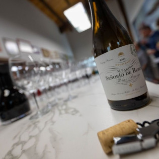Visita a Viñedos y Bodegas Señorío de Rubiós con Cata de Vinos para dos (As Neves, Pontevedra)
