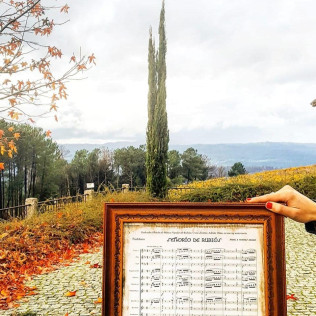 Visita a viñedos y bodegas Señorío de Rubiós con cata de vinos para dos (As Neves, Pontevedra)