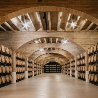 Visita con Cata de Vinos en Bodegas Solar de Samaniego (Laguardia, Álava)