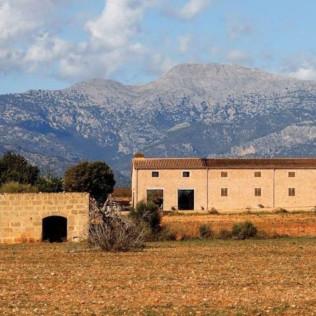 Cata de Vino en Bodega SON PRIM (Sencelles, Mallorca)