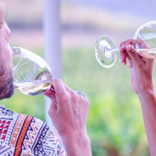 Cata de Vino en Bodega SON PRIM (Sencelles, Mallorca)