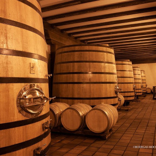 Visita a Bodegas Mocén con Cata de 3 Vinos para dos (Rueda, Valladolid)