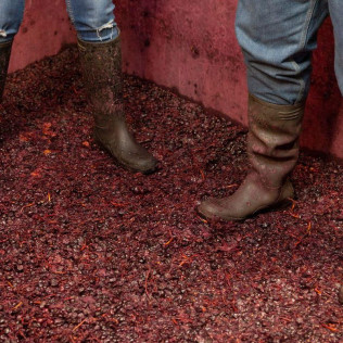 Visita a 2 bodegas con calado del Siglo XIX, cata de 3 vinos y picoteo para dos en Bodegas Araico (Villabuena de Álava, Álava)