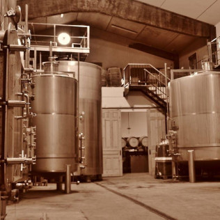 Visita a 2 bodegas con calado del Siglo XIX, cata de 3 vinos y picoteo para dos en Bodegas Araico (Villabuena de Álava, Álava)