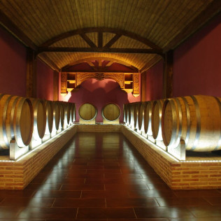 Visita a Bodegas y Museo del Aceite con Cata de Vinos, Aceite y Embutidos Ibéricos en Villena y Circuito Spa para dos (Alicante)