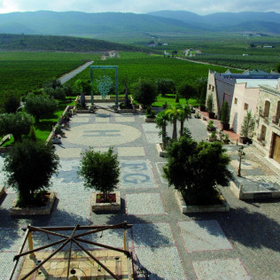 Visita a Bodega y Museo del Aceite con Cata de Vinos, Aceite y Embutidos Ibéricos para dos (Villena, Alicante)