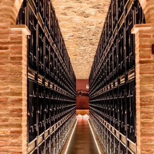 Visita a Bodegas Francisco Gómez y Museo del Aceite con Cata de Vinos, Aceite y Embutidos Ibéricos para dos (Villena, Alicante)