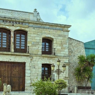 Visita a Bodegas Francisco Gómez y Museo del Aceite con Cata de Vinos, Aceite y Embutidos Ibéricos para dos (Villena, Alicante)
