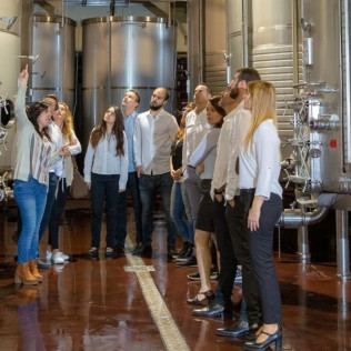 Visita a Bodegas Francisco Gómez y Museo del Aceite con Cata de Vinos, Aceite y Embutidos Ibéricos para dos (Villena, Alicante)