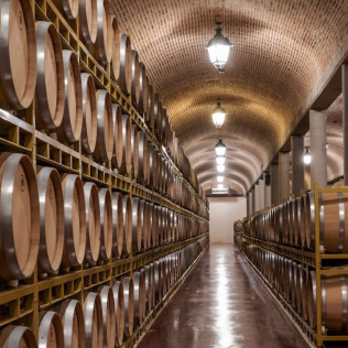 Visita a Bodegas Viña Pedrosa con Cata de Vinos para dos (Pedrosa de Duero, Burgos)