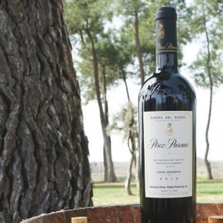 Visita a Bodegas Viña Pedrosa con Cata de Vinos para dos (Pedrosa de Duero, Burgos)