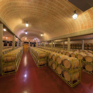 Visita a Bodegas Viña Pedrosa con Cata de Vinos para dos (Pedrosa de Duero, Burgos)
