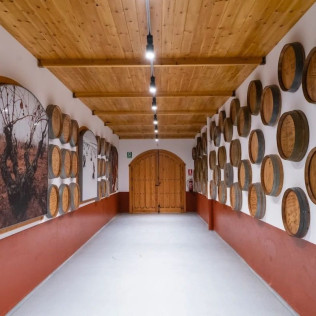 Visita a Bodegas Viña Pedrosa con Cata de Vinos para dos (Pedrosa de Duero, Burgos)