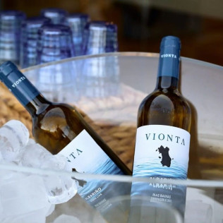 Visita Tradicional a Bodegas Vionta con Cata de Vinos para dos (Meaño, Pontevedra)