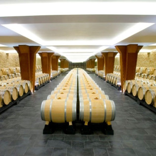 Degustación de Vino con Entrada y Visita Guiada al Museo Vivanco de la Cultura del Vino en BODEGAS VIVANCO (Briones, La Rioja)