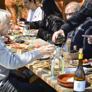 Brunch Entre Viñas: Visita a los Viñedos y Brunch en Finca Mas Perdut (Santa Oliva, Tarragona)