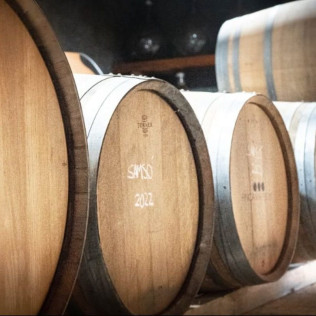 Brunch Entre Viñas: Visita a los Viñedos y Brunch en Finca Mas Perdut (Santa Oliva, Tarragona)