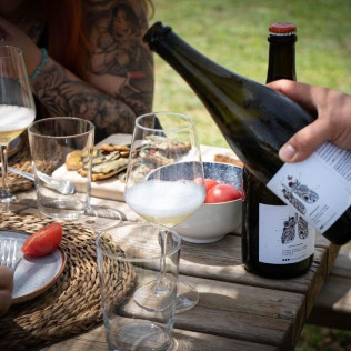 Brunch Entre Viñas: Visita a los Viñedos y Brunch en Finca Mas Perdut (Santa Oliva, Tarragona)