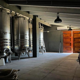 Brunch Entre Viñas: Visita a los Viñedos y Brunch en Finca Mas Perdut (Santa Oliva, Tarragona)