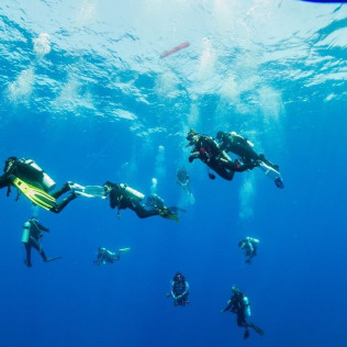 Bautismo de Buceo con Fotos y Vídeo (San Pedro del Pinatar, Murcia)
