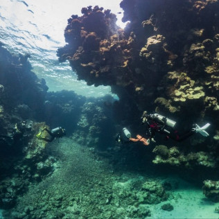 Bautismo de Buceo con Fotos y Vídeo (San Pedro del Pinatar, Murcia)