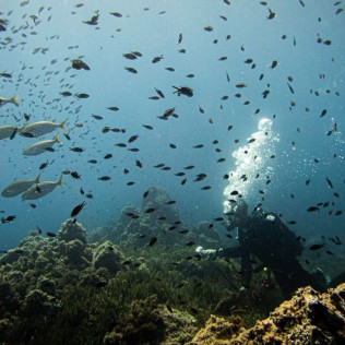 Bautismo de Buceo con Fotos y Vídeo (San Pedro del Pinatar, Murcia)
