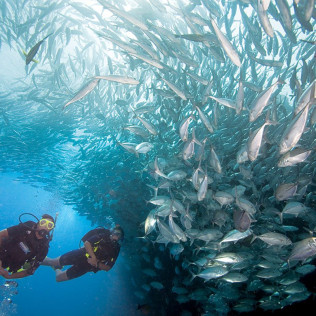 Bautismo de Buceo para dos (Tarifa, Cádiz)