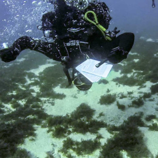 Bautismo de Buceo (Tarifa, Cádiz)