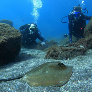 Bautizo de Buceo en la Reserva Natural Protegida de La Caleta de Adeje (Tenerife)