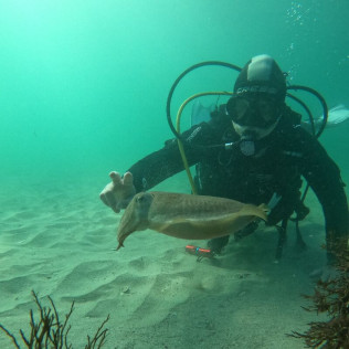 Bautismo de Buceo (Finisterre, A Coruña)