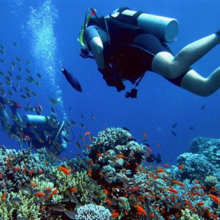 Bautismo de Buceo para dos (Fuengirola, Málaga)