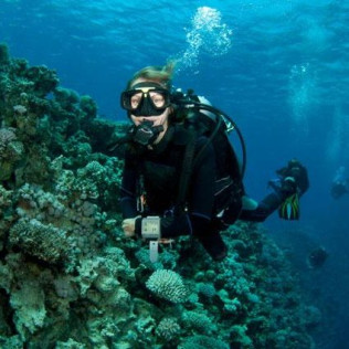 Bautismo de Buceo para dos (Fuengirola, Málaga)