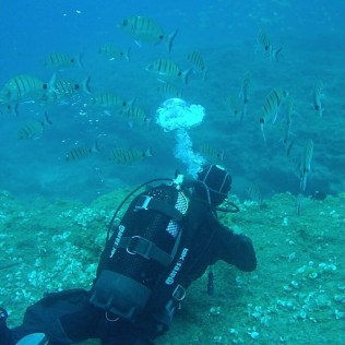 Bautismo de Buceo (Hondarribia, Guipúzcoa)