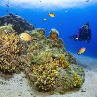 Bautismo de Buceo en Playa Chica del Puerto del Carmen (Lanzarote)