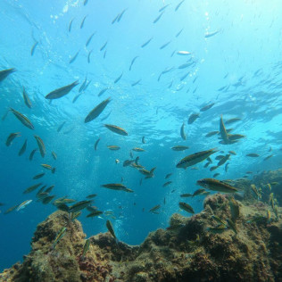 Bautismo de Buceo (Las Palmas, Lanzarote)