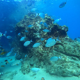 Bautismo de Buceo (Las Palmas, Lanzarote)