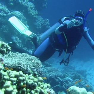 Bautismo de Buceo en el Mar y Reportaje Fotográfico para dos (Tenerife)